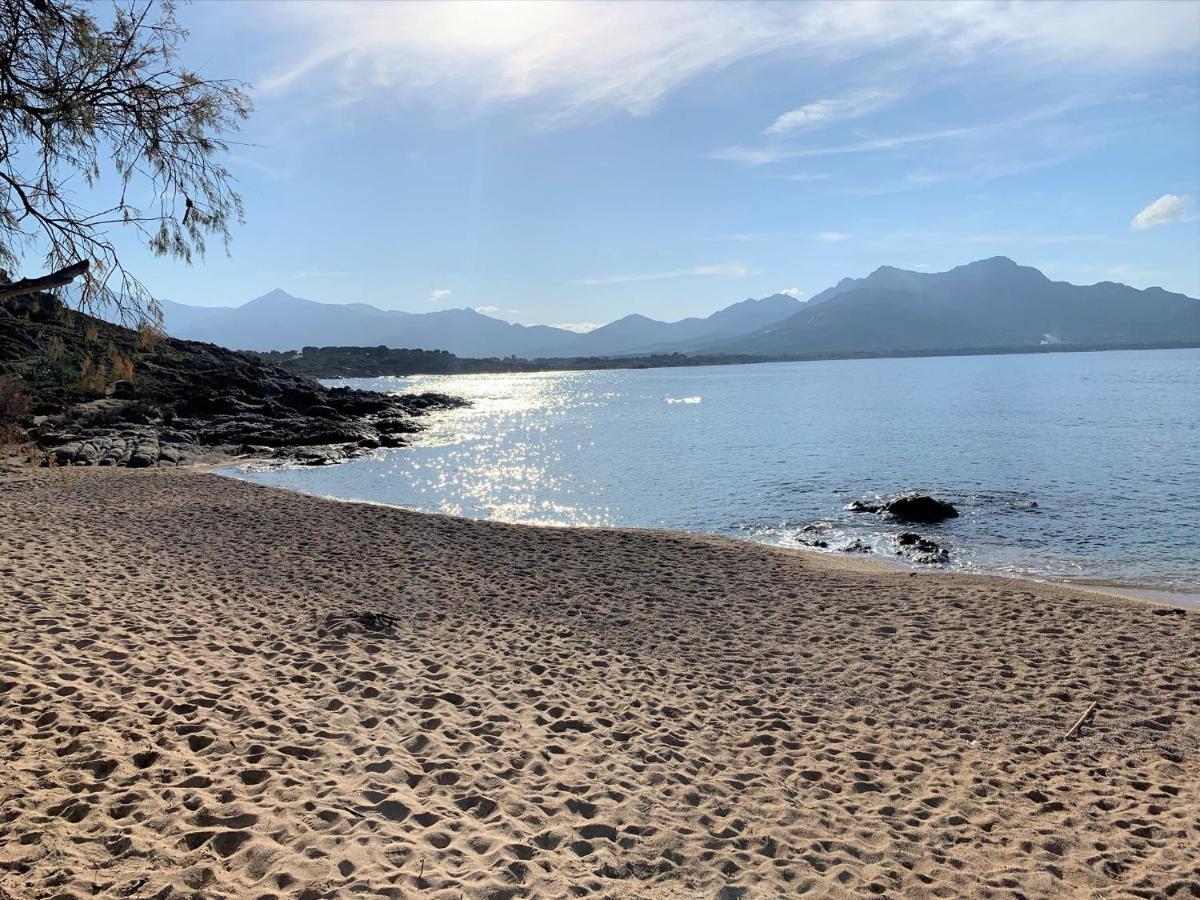 ホテルCamping Monte Ortu By Corsica Paradise リュミオ エクステリア 写真